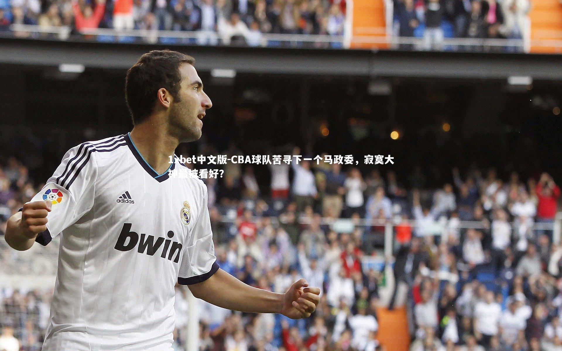 CBA球队苦寻下一个马政委，寂寞大神最被看好？